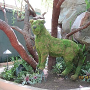 Picture 090